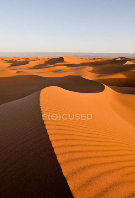 Sand dunes in desert — Stock Photo