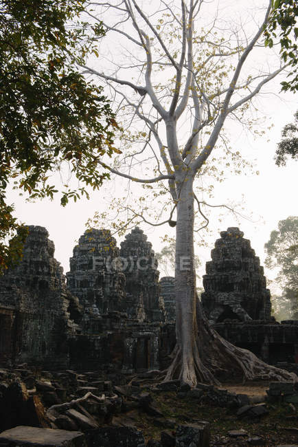 Banteay Kdei храму — стокове фото