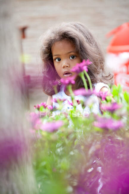 Chica caminando en flores púrpuras - foto de stock