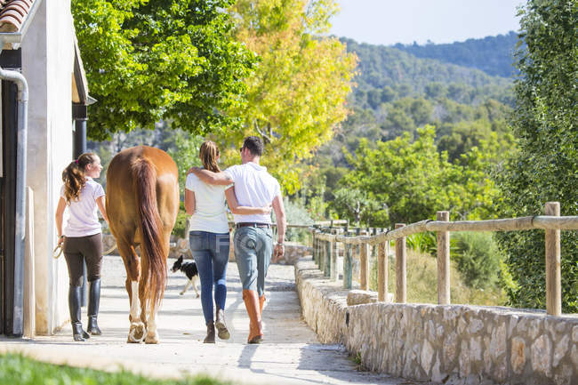 Vista posteriore dello sposo femmina che conduce il cavallo nelle scuderie rurali — Foto stock