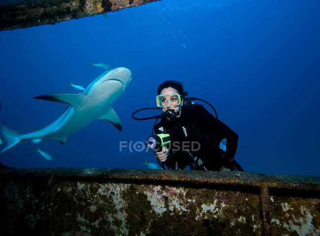 Plongeur sous-marin avec requin . — Photo de stock