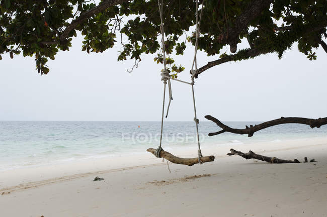 Balanço de árvore na praia vazia, Kradan, Tailândia — Fotografia de Stock