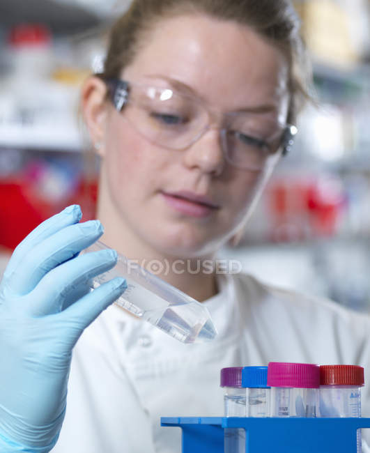Científico preparando tampón para la purificación de anticuerpos en laboratorio - foto de stock