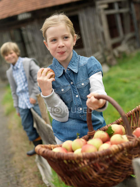 Ragazza con cesto di mele mangiare mele — Foto stock