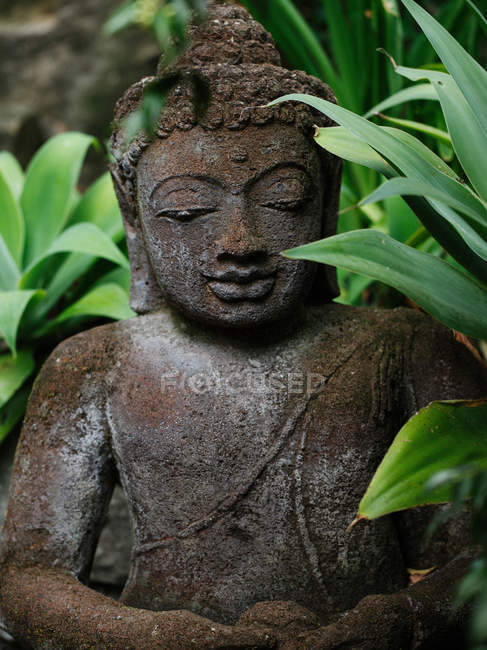 Statue de Bouddha dans le jardin — Photo de stock