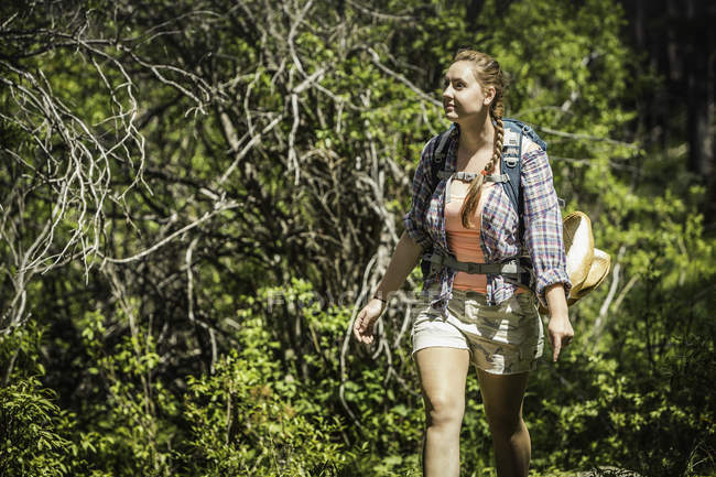Молода жінка мандрівного Піші прогулянки в ліс, червоний Lodge, штат Монтана, США — стокове фото