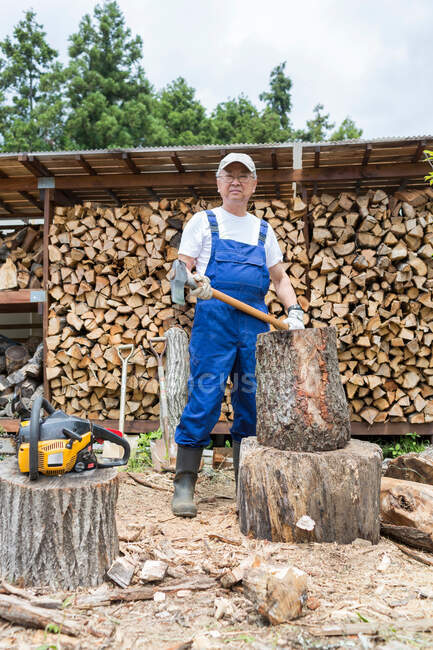 Uomo in procinto di tagliare legna da ardere — Foto stock