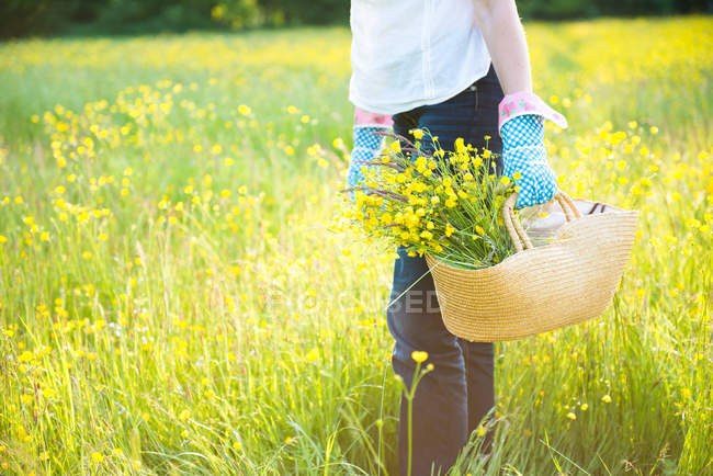 Cropped mid-section holding basket of flowers — Stock Photo