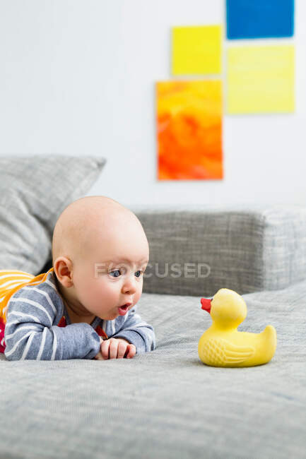 Baby boy staring at rubber duck — Stock Photo