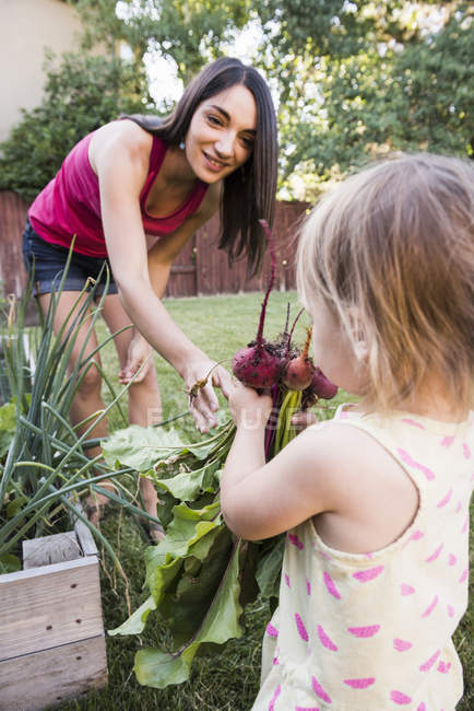 Madre e hija pequeña, jardinería juntas, recolección de verduras frescas - foto de stock