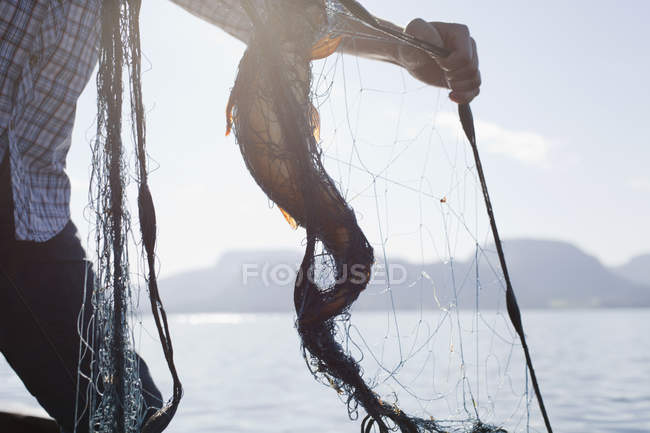Hombre sosteniendo peces en la red, Aure, Noruega - foto de stock