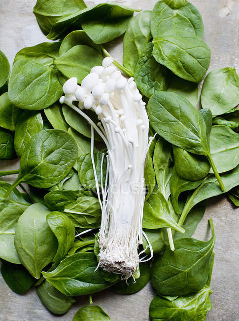 White enoki mushrooms and fresh spinach leaves — Stock Photo