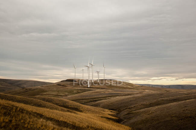 Parque eólico en el paisaje rodante, Condon, Oregon, EE.UU. - foto de stock