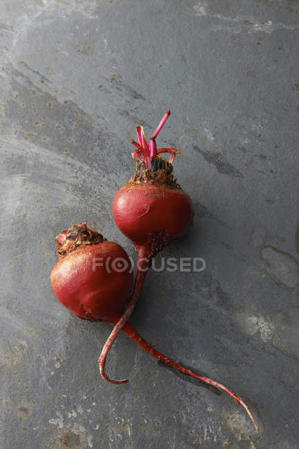 Two fresh picked radishes on gray surface — Stock Photo