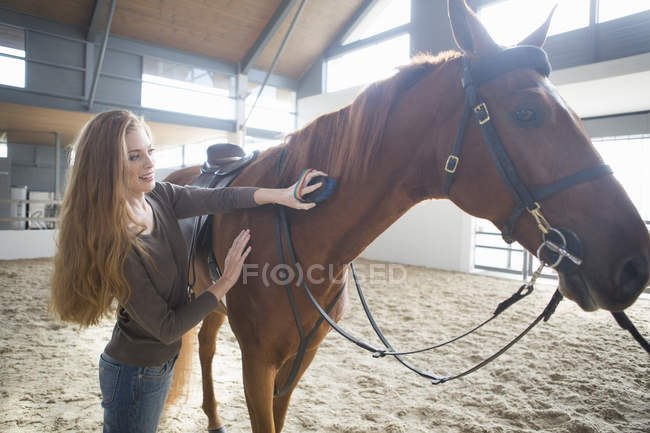 Cavaleiro fêmea cavaleiro grooming cavalo no interior paddock — Fotografia de Stock