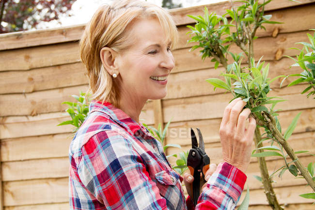 Зрелая женщина, обрезающая деревья в саду — стоковое фото