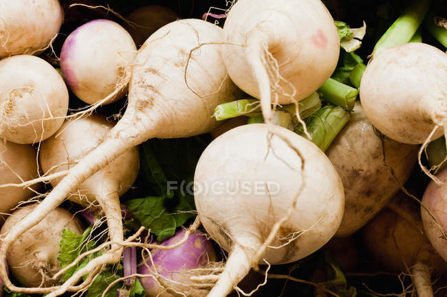 Pila de hortalizas de raíz - foto de stock