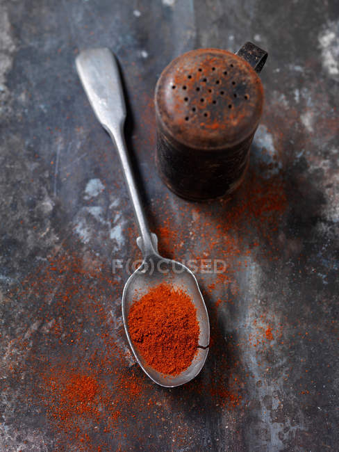 Cucchiaio di spezia di paprika — Foto stock