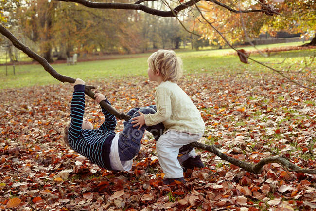 Chicos jugando en el árbol al aire libre - foto de stock