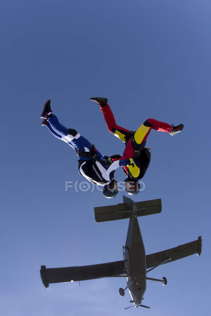 Freeflying skydivers in blue sky — Stock Photo
