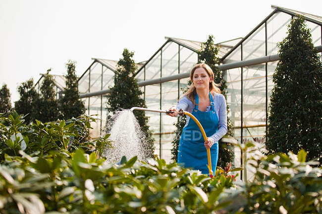 Frau gießt Pflanzen mit Schlauch — Stockfoto