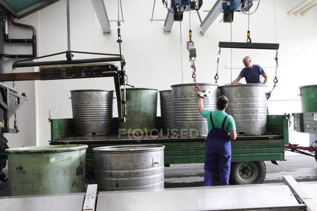 Lavoratori con contenitori di uva in cantina industriale — Foto stock