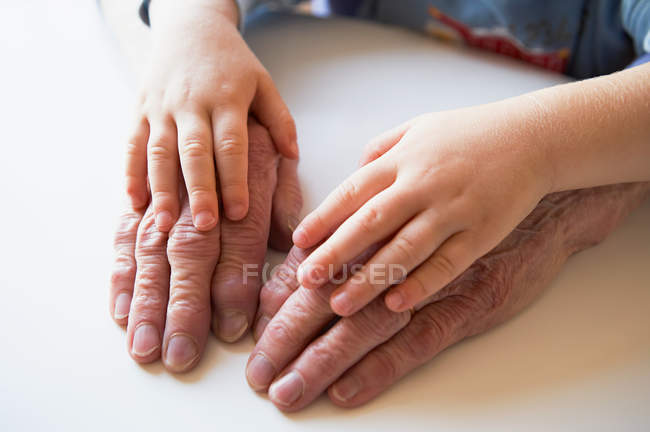 Руки ребенка и старшего взрослого — стоковое фото