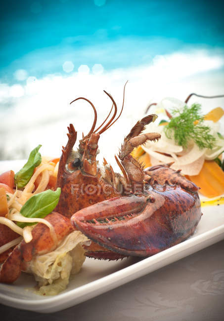 Vida morta de prato de frutos do mar com manjericão e endro guarnição — Fotografia de Stock