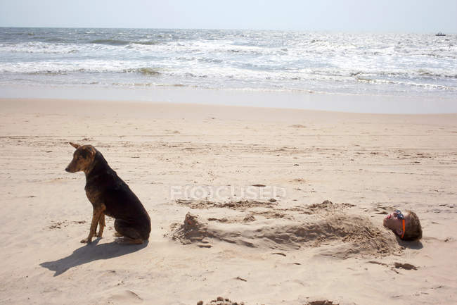 Garçon enterré dans le sable sur la plage avec chien — Photo de stock