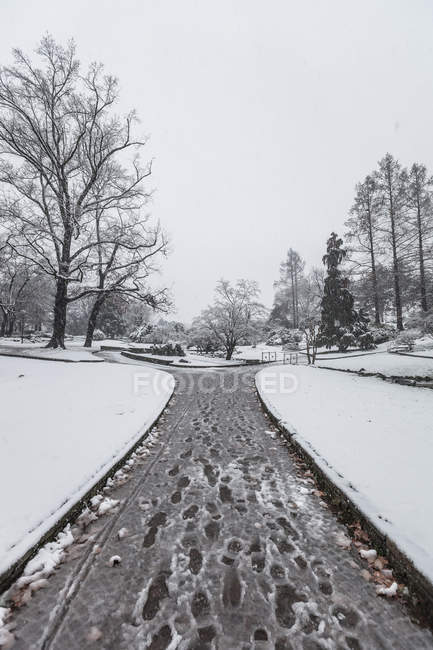 Diminishing perspective of snow covered path — Stock Photo
