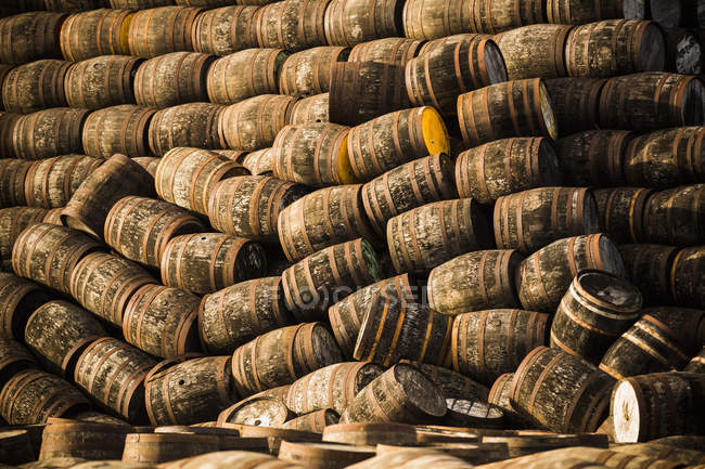 Куча деревянных бочек виски — стоковое фото