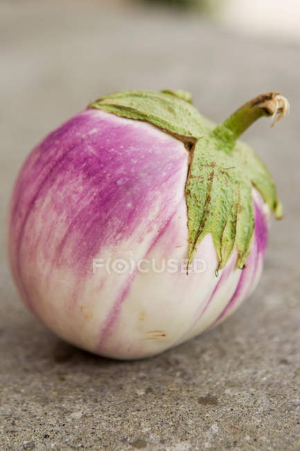 Small white aubergine — Stock Photo