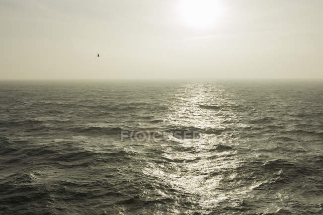 Grauer Himmel und Sonnenlicht, das auf dem Wasser reflektiert — Stockfoto