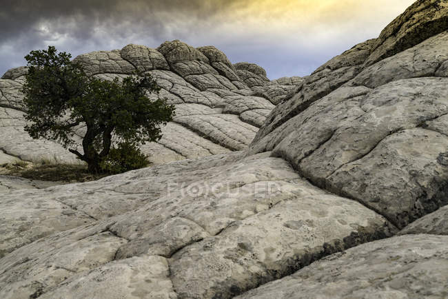 Vue panoramique de White Pocket, Paria Plateau, Arizona, États-Unis — Photo de stock
