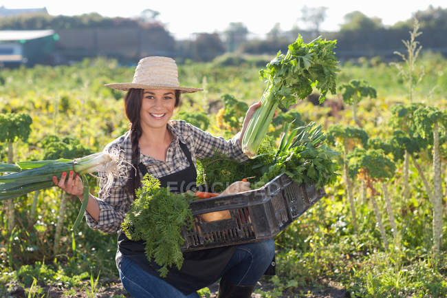 Mujer joven con verduras cultivadas en la granja - foto de stock