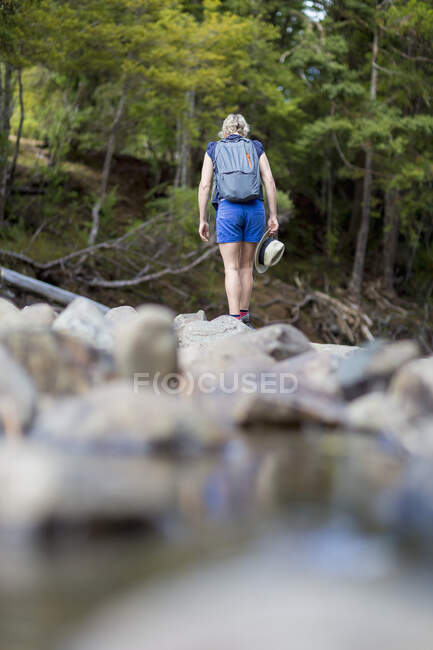Caminhante caminhando entre pedras em riacho raso, Waima Forest, North Island, NZ — Fotografia de Stock