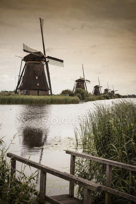 Ветряные мельницы и канал, Киндердейк, Оланда, Амстердам — стоковое фото