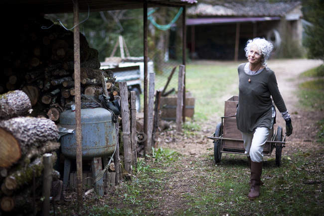 Зрелая женщина тянет тележку в саду — стоковое фото