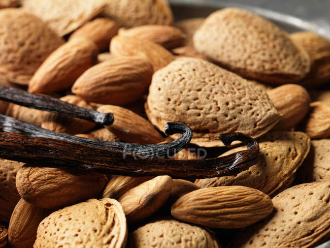 Nüsse und Vanilleschoten — Stockfoto