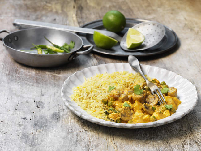 Portion of paneer korma with rice on plate — Stock Photo