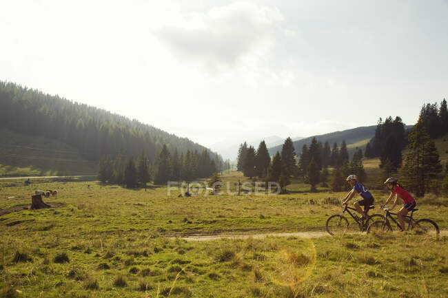 Мужчина и женщина на горном велосипеде, Штирия, Австрия — стоковое фото