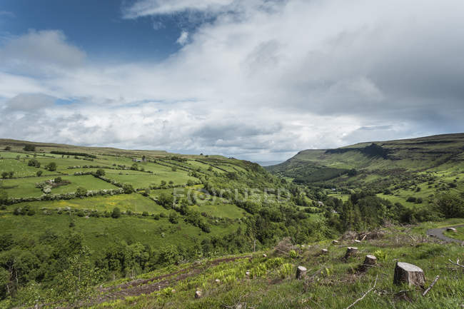 Vue des souches d'arbres et des champs, Glenariff, comté d'Antrim, Irlande du Nord, Royaume-Uni — Photo de stock