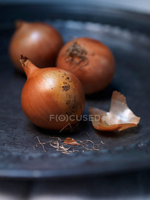 Close up shot of plate with onions — Stock Photo