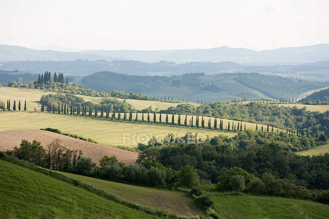 Beau paysage près de Sienne — Photo de stock