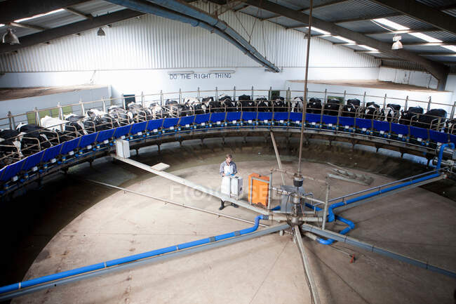 Machine à traire dans la ferme laitière — Photo de stock