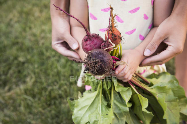 Mother and young daughter, gardening together, daughter holding fresh vegetables, mid section — Stock Photo