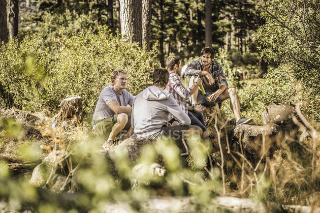 Cuatro excursionistas masculinos sentados con café en el bosque, Deer Park, Ciudad del Cabo, Sudáfrica - foto de stock