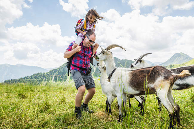 Père et fille regardant des chèvres, Tyrol, Autriche — Photo de stock