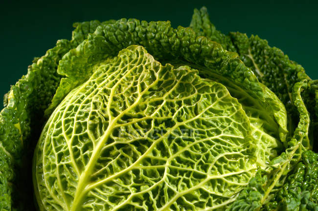 Savoy cabbage on green — Stock Photo