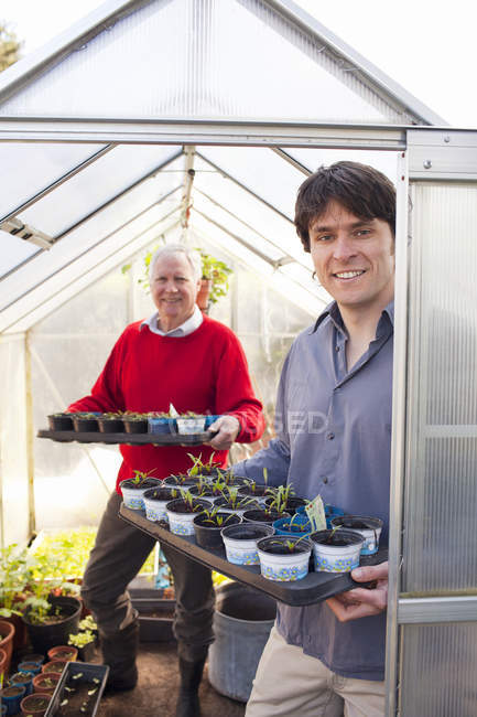 Vater und erwachsener Sohn halten Pflanzen im Gewächshaus — Stockfoto